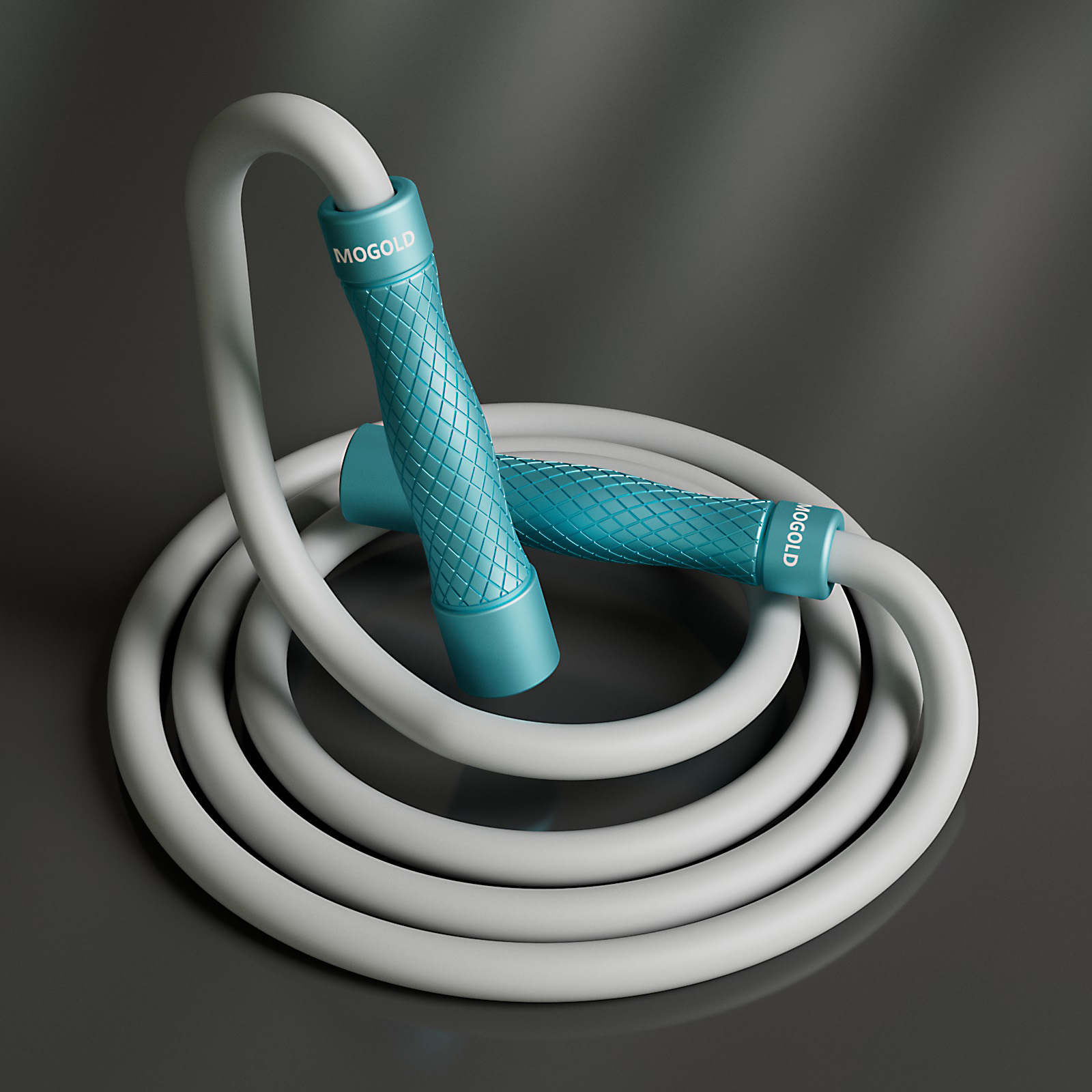 MOGOLD プロフェッショナル縄跳び：人間工学に基づいた滑 - Speed Skipping Rope のレビューと価格